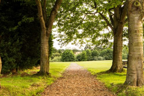 Discover the garden of England